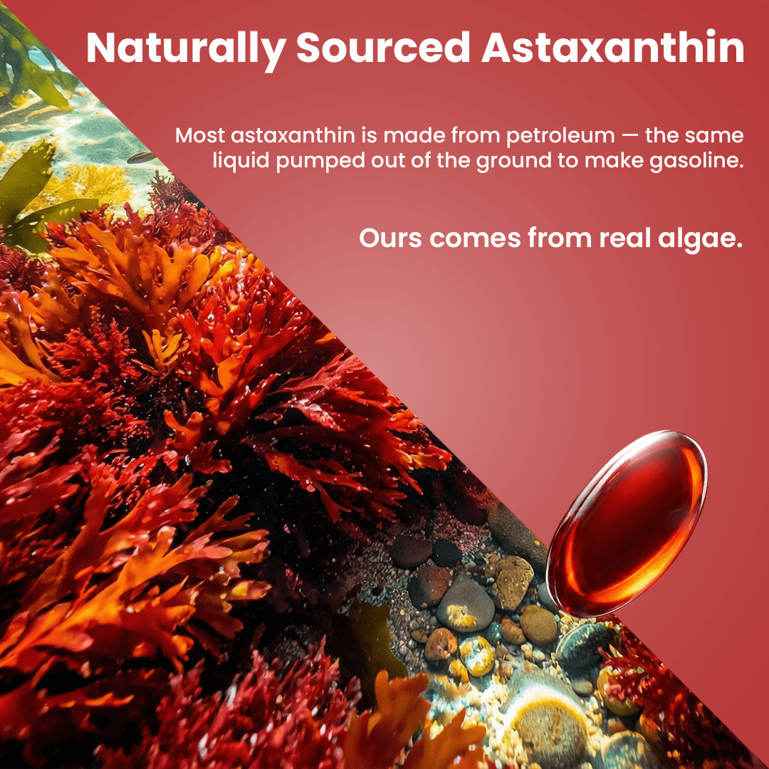 Atlas Astaxanthin 12mg Softgels - Atlas