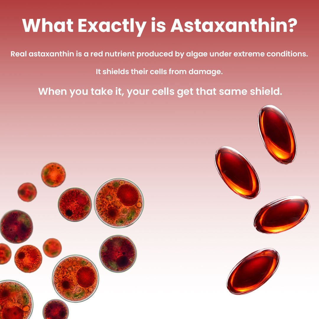 Atlas Astaxanthin 12mg Softgels - Atlas